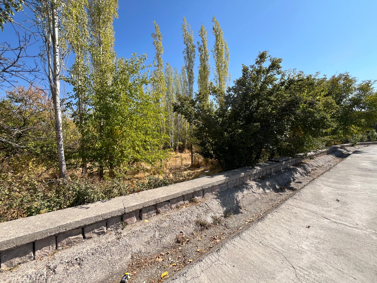 KAYSERİ DEVELİ REŞEDİYE MAHALLESİ KÖŞKPINAR MEVKİİNDE SATILIK HOBİ BAHÇESİ YERİ